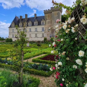 Un aperçu de l'Indre et Loire avec Amboise, Villandry et Tours 🏰 🏞.#france